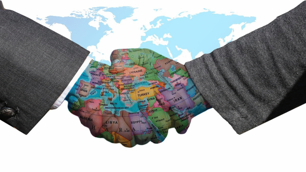 Apa peran kerja sama internasional platform online 